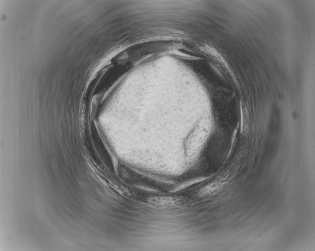 X0000059100435200510281818