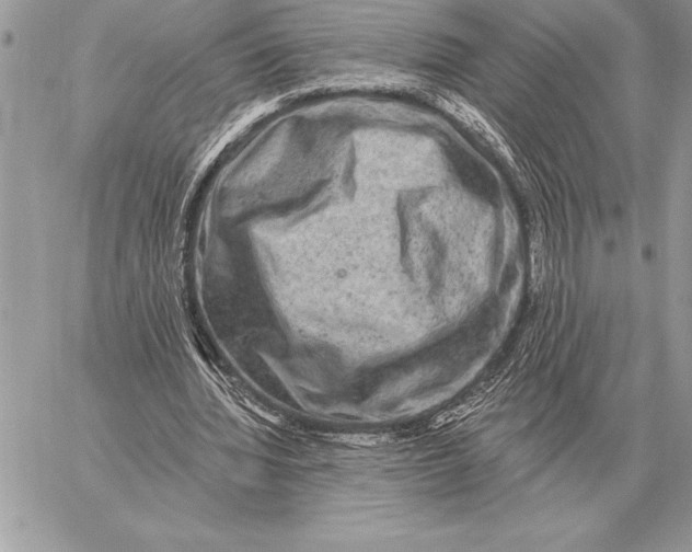 X0000059100436200510281818