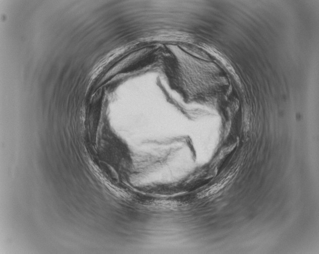 X0000059100437200510281818