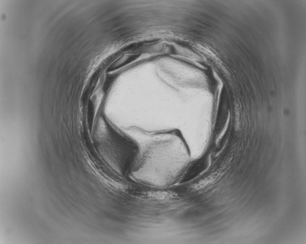 X0000059100439200510281818
