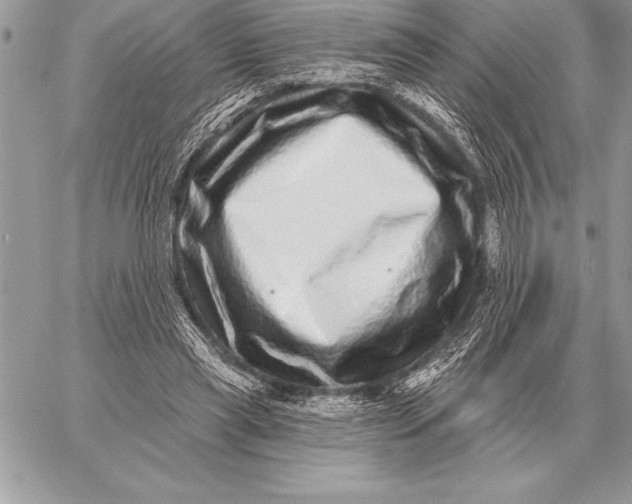X0000059100445200510281818