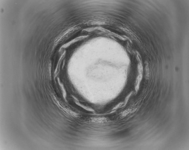 X0000059100446200510281818
