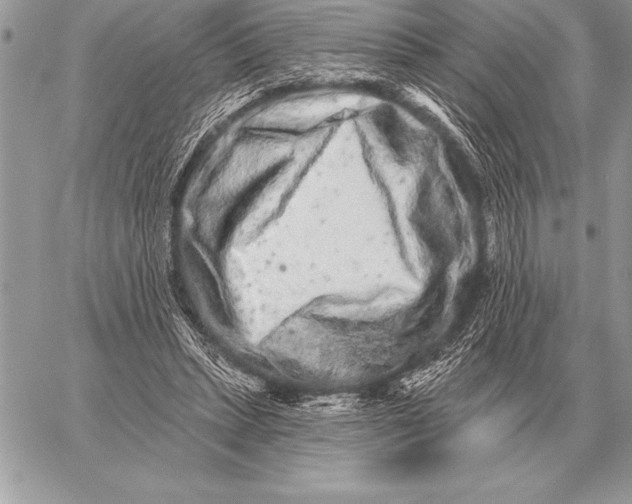 X0000059100447200510281818
