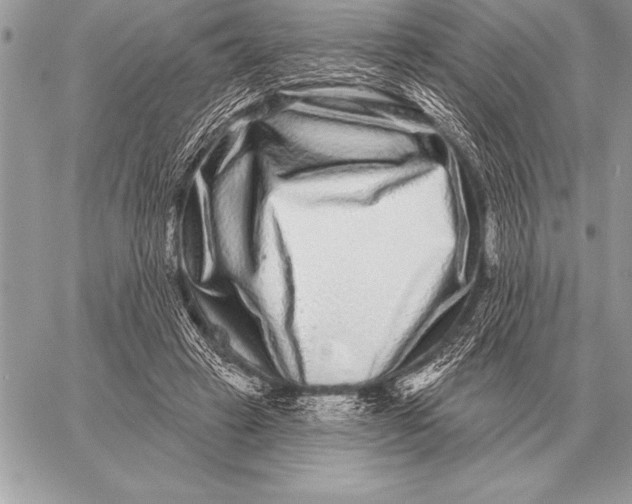 X0000059100449200510281818