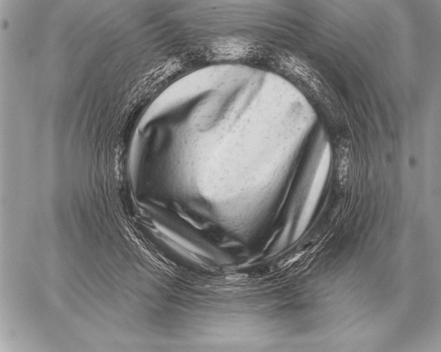 X0000059100455200510281818