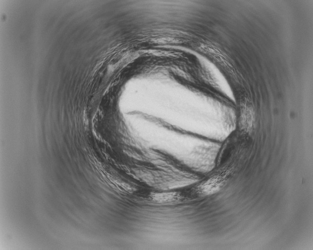 X0000059100461200510281818