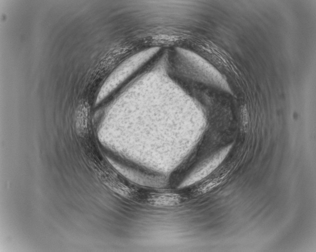 X0000059100463200510281818
