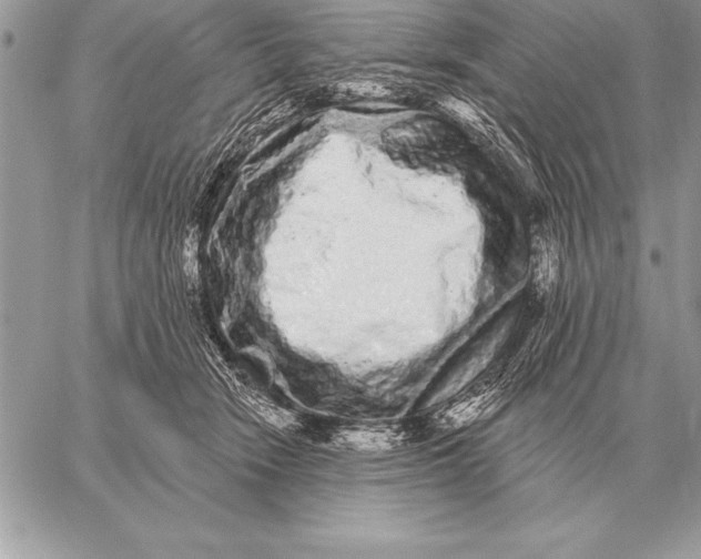 X0000059100466200510281818