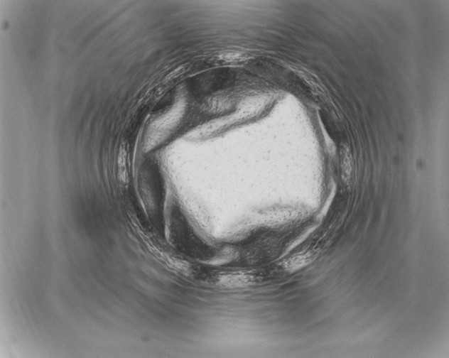 X0000059100470200510281819