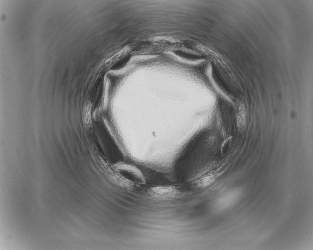 X0000059100477200510281819