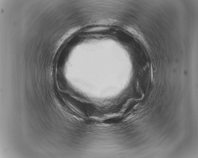 X0000059100483200510281818