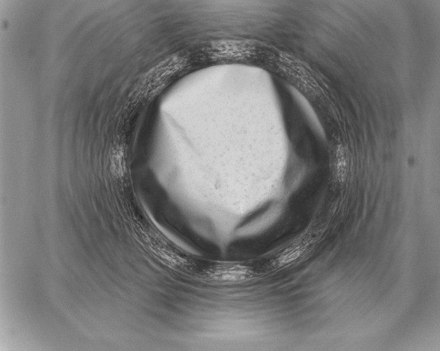 X0000059100514200510281817