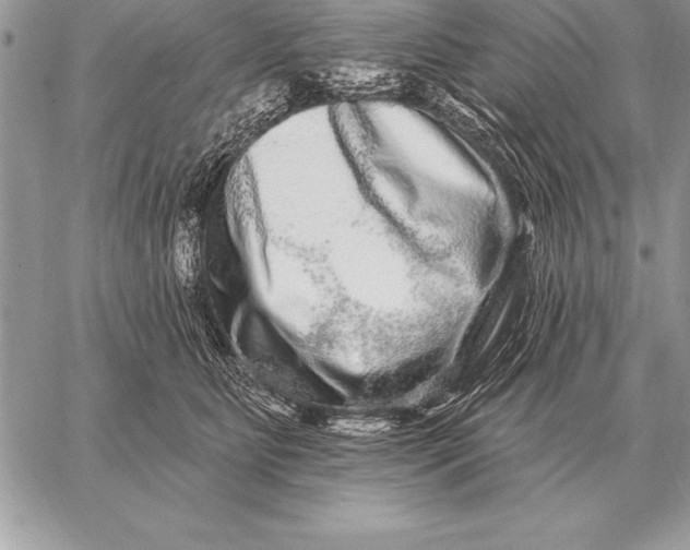 X0000059100515200510281817