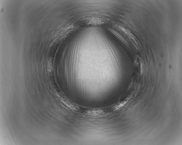 X0000059100517200510281817