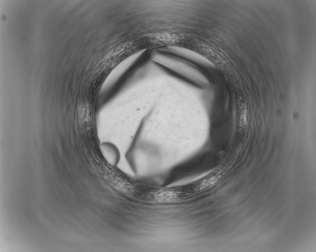 X0000059100518200510281817