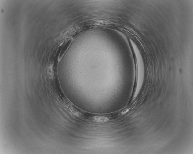 X0000059100520200510281817