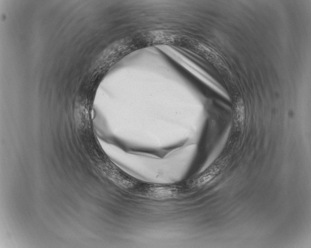X0000059100522200510281817