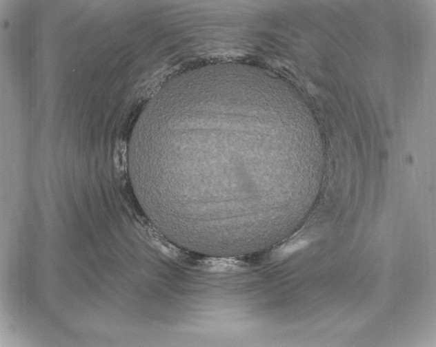 X0000059100528200510281817