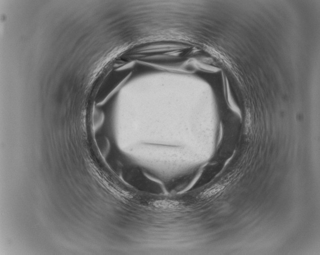 X0000059100535200510281816