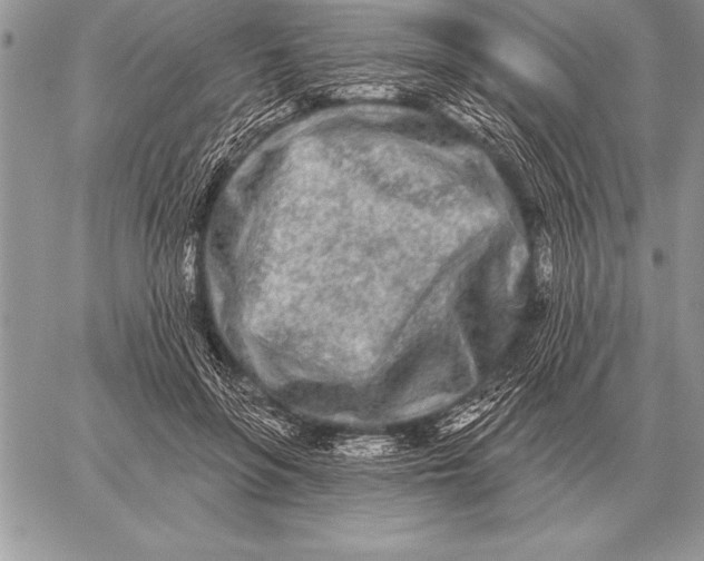 X0000059100551200510281817