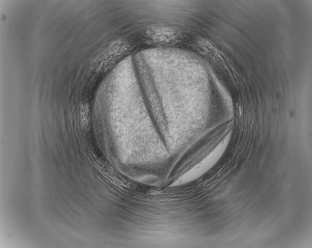 X0000059100563200510281817