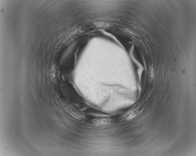 X0000059100567200510281817