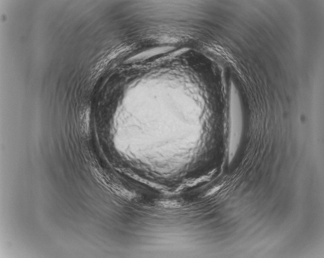 X0000059100596200510281816