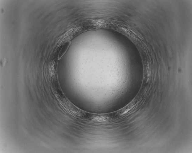 X0000059100611200510281816