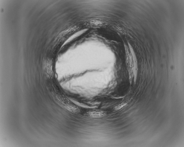X0000059100615200510281816