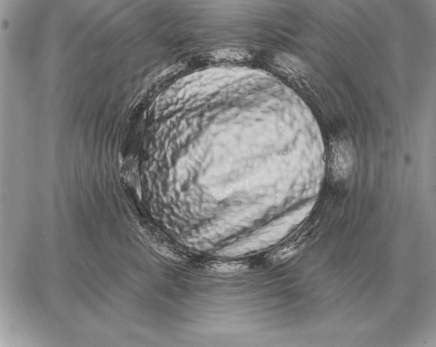 X0000059100619200510281816