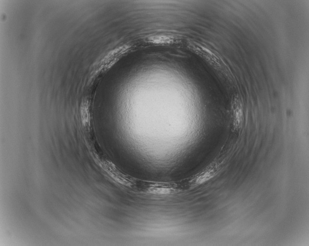 X0000059100620200510281816