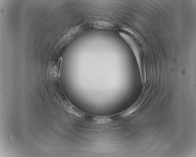 X0000059100621200510281816