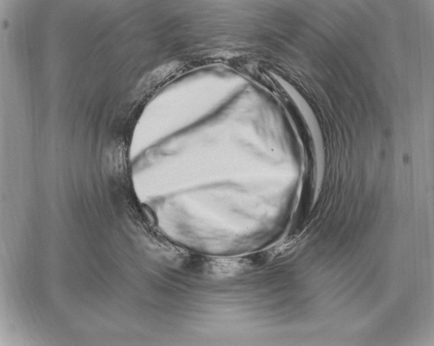 X0000059100623200510281816