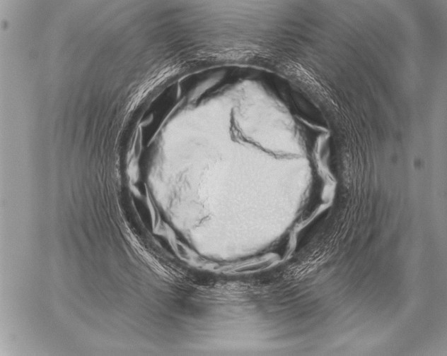X0000059100634200510281815