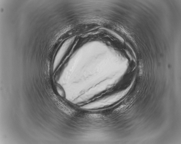 X0000059100637200510281815