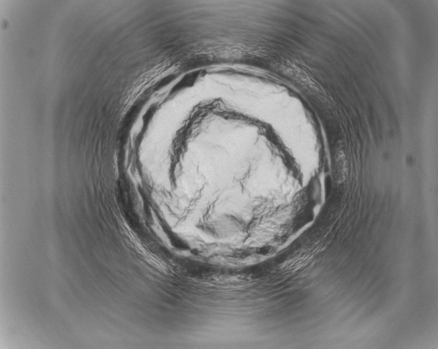 X0000059100638200510281815