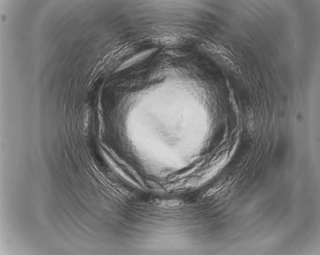X0000059100645200510281815