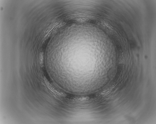 X0000059100646200510281815