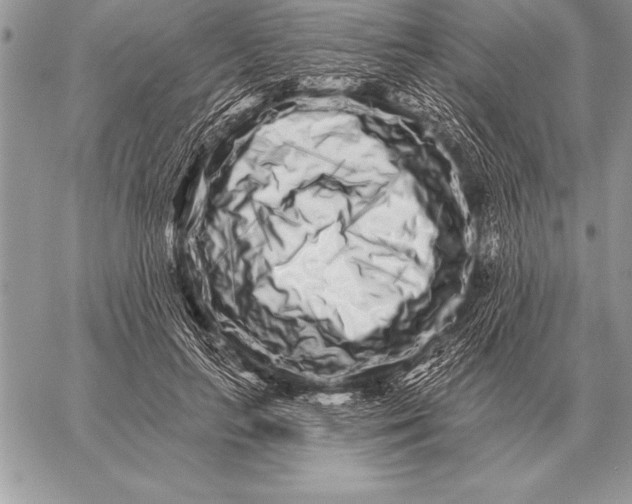 X0000059100647200510281815