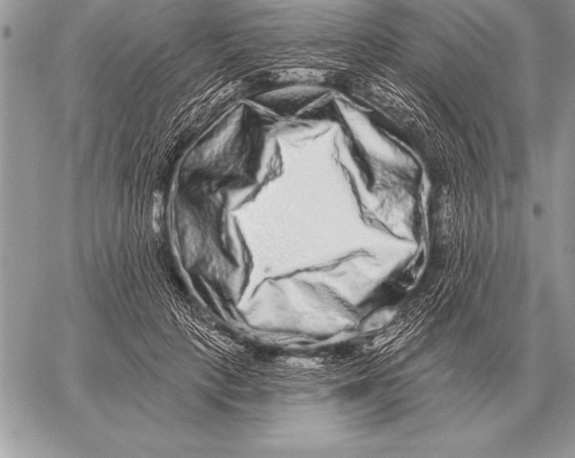 X0000059100649200510281815