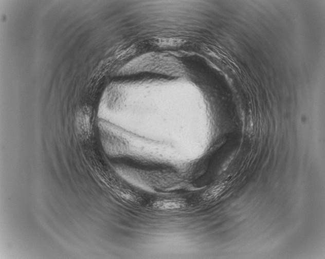 X0000059100655200510281815