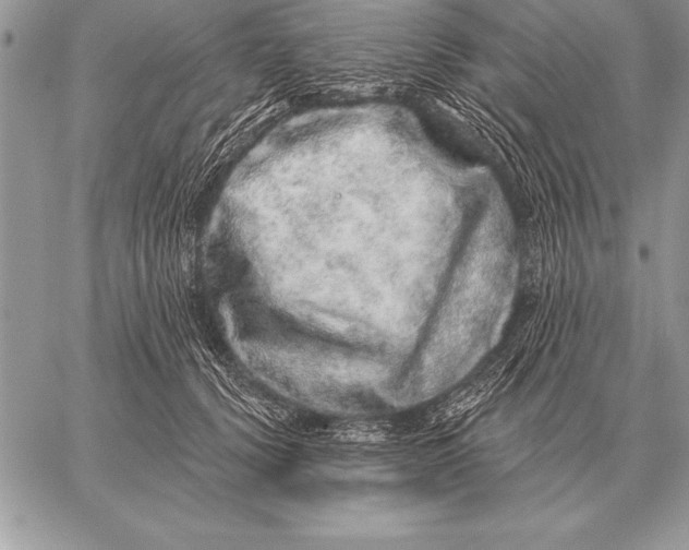 X0000059100656200510281815