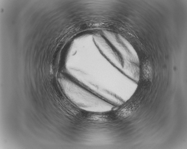 X0000059100657200510281815