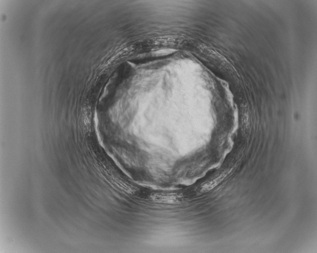 X0000059100661200510281815
