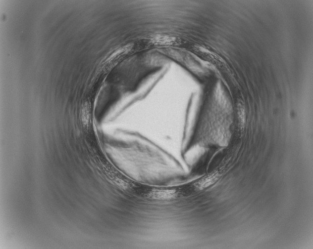 X0000059100665200510281815