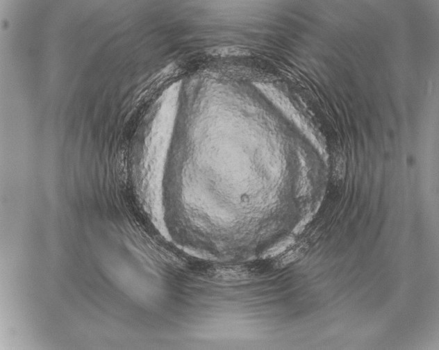 X0000059100666200510281815