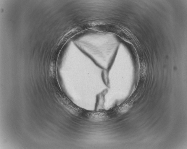 X0000059100669200510281815