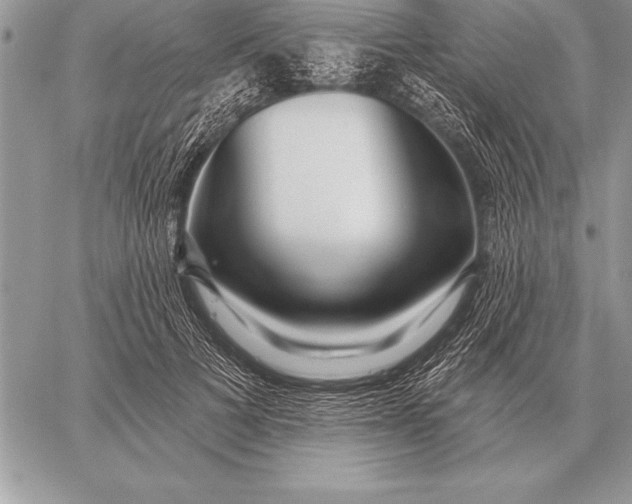 X0000059100697200510281814