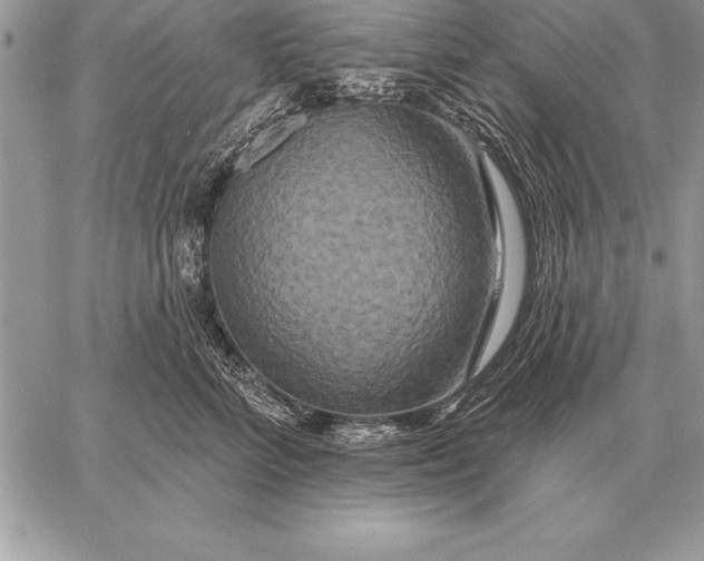 X0000059100712200510281814