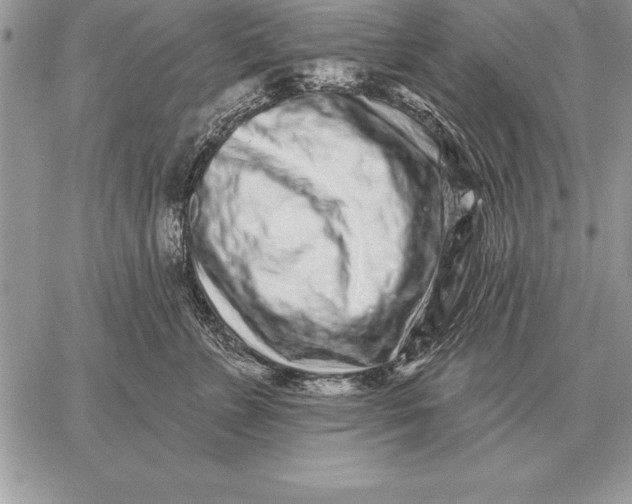 X0000059100715200510281814
